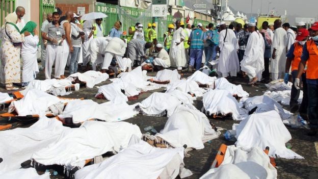Saudi King orders safety review for Hajj pilgrimage - ảnh 1